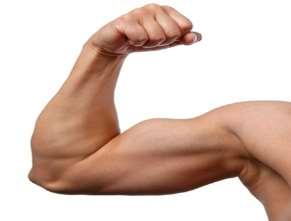 9 37 53 63 FRÅGA 7: STYRKA VUEN: Genom att styrketräna bygger vi muskler och blir starkare.