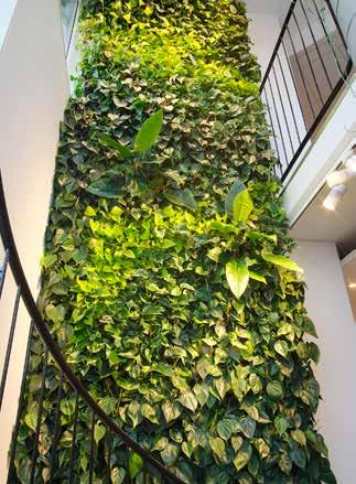 Växtväggssystemet är utvecklat av Green City AB och säljs och installeras i samarbete med Hässelby Blommor som