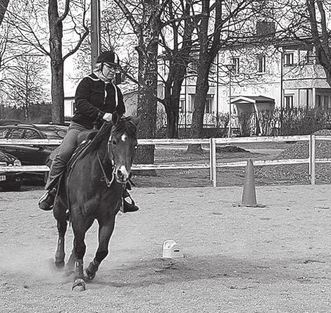 Tailor Dala Western Games 2017 + Agria Western Cup + KM LÖVÅSEN 10-11 JUNI Datum 2017-06-10-2017-06-11 Första start kl 9.