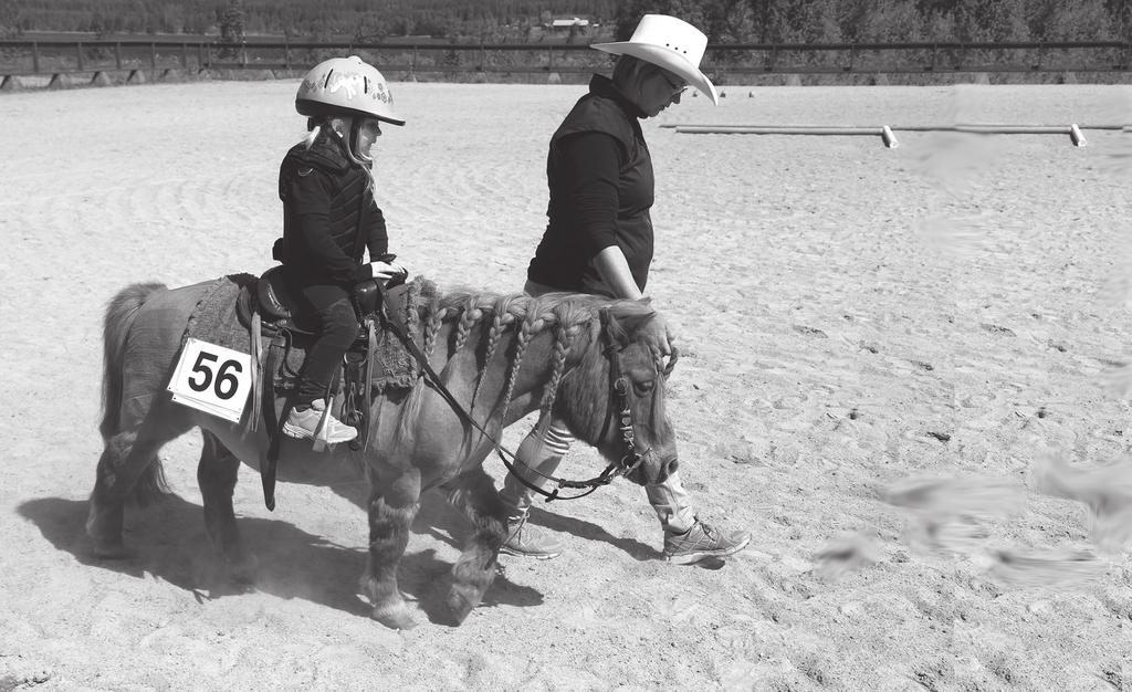 Forts. Verksamhetsberättelse för Dala Western Riders verksamhetsår 2017 Utbildning: Två nya märkeskontrollanter, Catarina Pedersen och Erika Semmingsson, har blivit godkända av förbundet.