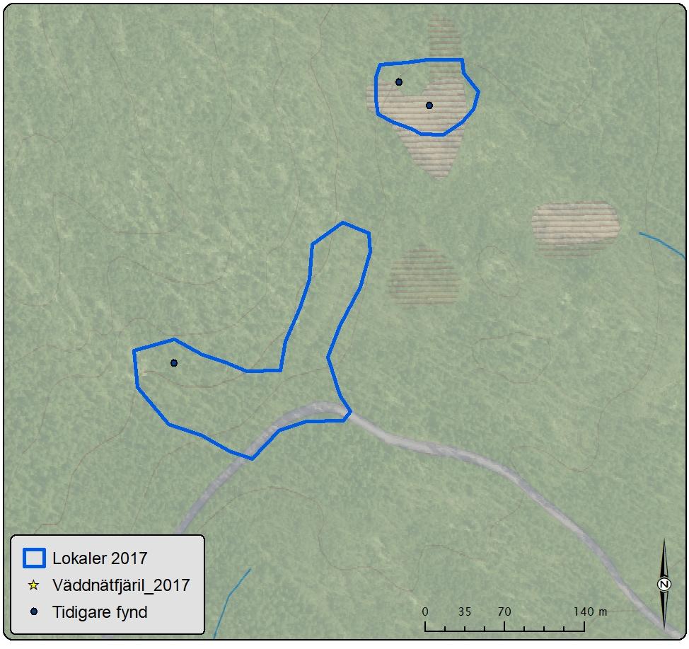 Lokal 4 Bärrek Gruvberget Antal väddnätfjärilar: 0 Area: 16,7 ha Biotopsbeskrivning: Lokalen är belägen i ett skogsparti med tall och örnbräken. Spår av skogsmaskiner finns i området.