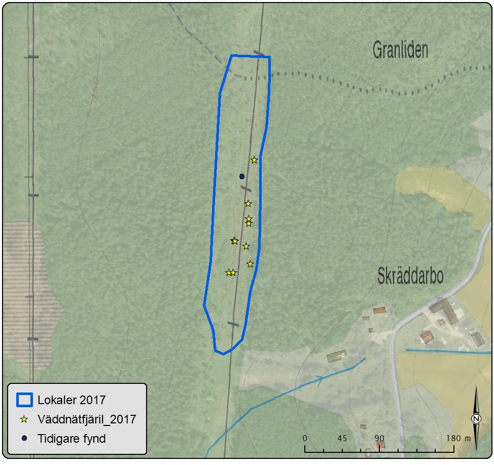 Lokal 6 Västerhästbo östra kraftledningsgatan Antal väddnätfjärilar: 10 Area: 19 ha Biotopsbeskrivning: Lokalen är belägen i en kraftledningsgata väster om Skräddarbo.