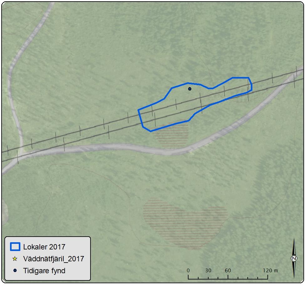 Lokal 8 Gamla Tunavägen Antal väddnätfjärilar: 0 Area: 0,6 ha Biotopbeskrivning: Lokalen är belägen längs en kraftledningsgata som består av två