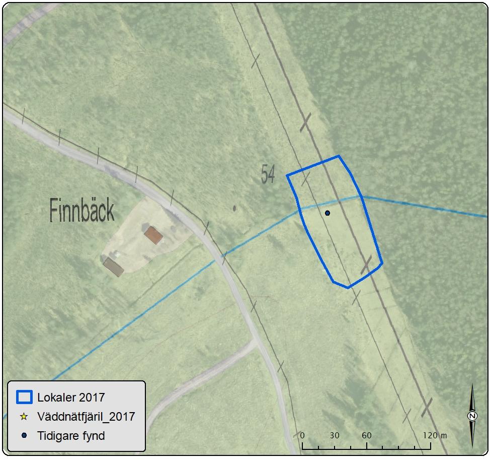 Lokal 12 Finnbäck Antal väddnätfjärilar: 0 Area: 0,6 ha Biotopsbeskrivning: Lokalen vid Finnbäck består av en kraftledningsgata med ett djupt dike som korsar kraftledningen.