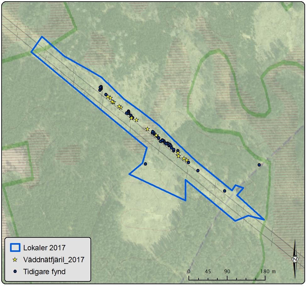 Lokal 13 Norr Gustavsmurarna Antal väddnätfjärilar: 16 Area: 40,9 ha Biotopbeskrivning: Lokalen består av en kraftledningsgata med en tretrådig ledning och en tvåtrådig ledning.