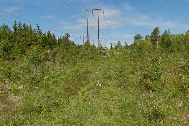 Figur 17. Den vänstra bilden visar patrullstigen där bestånd av ängsvädd är uppmärkta med skyltar för att inte skadas av besökare.