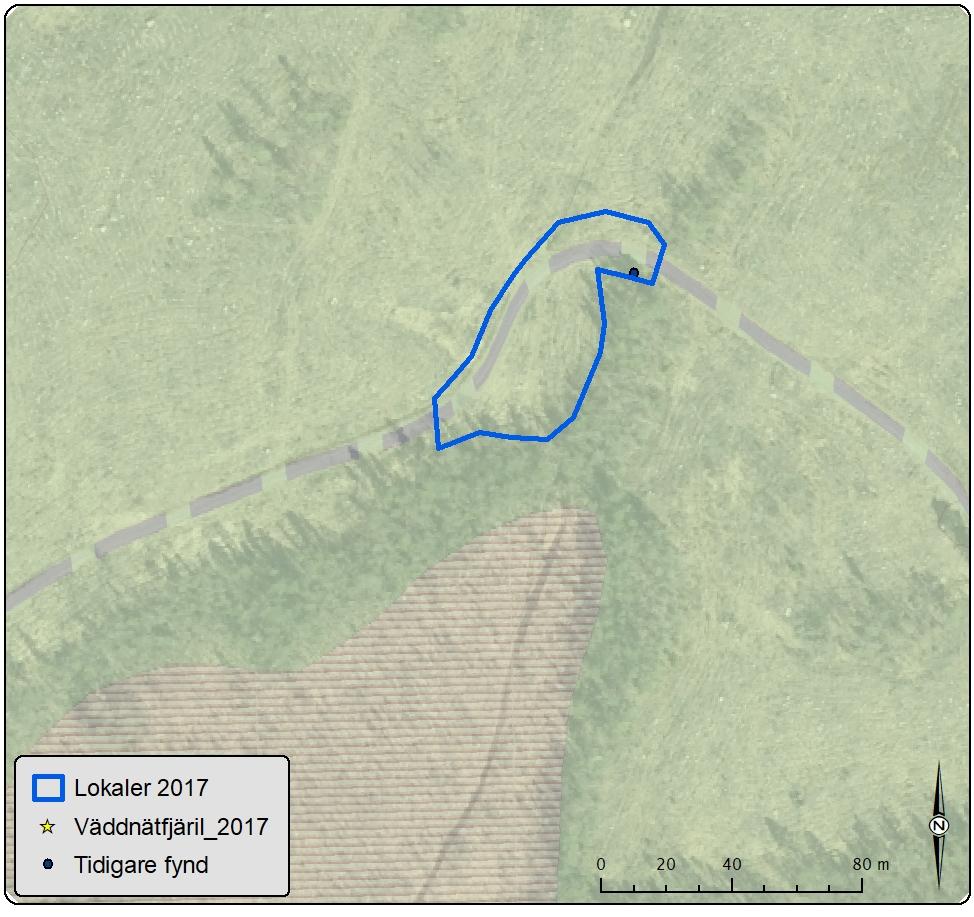 Lokal 15 Tones väg Antal väddnätfjärilar: 0 Area: 0,2 ha Biotopbeskrivning: Lokalen består av ett fuktigt parti mellan skog och grusväg.