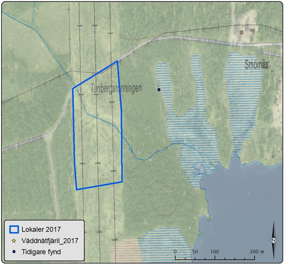 Ecocoms bedömning är att fyndet möjligen är gjort i den breda kraftledningsgatan då noggrannheten är på 200 m. En mindre bäck korsar kraftledningsgatan några tiotals meter söder om grusvägen.