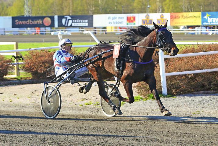 e Lome Elen - : --, : --, Tot: -- Final Lill e Lille Eyolf Olsson C g / - /, ppf: Anersen Erlan, Norge Olsson C Rä / - /, Äg: erglun Jörgen, Offeral Olsson C D / - /, Vit/grå/svart, treela, ärmrev;
