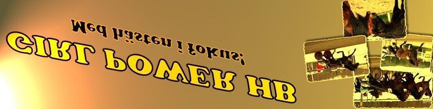 Vit V- -åriga oh älre hö