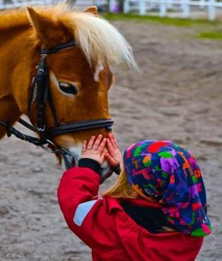 Rider i balans i skritt, trav och galopp. Rider med tydliga förhållande, framåtdrivande och vändande hjälper.