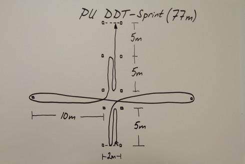 Program U PU DDT-Sprint (77m) 1-5 3-5 2-3 90-95% 40s/3min Lång agilitybana för primär träning av det s.k. glykolytiska systemet (ung. sportbilen) i kombination och support av det s.k. oxidativa systemet (ung.