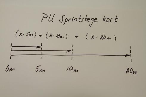 Program P PU Sprintstege kort (5,10,20m) 1-5 2 6x5, 3x10, 2x20 X 5 min Gå vila mellan rep på samma sträcka, vila