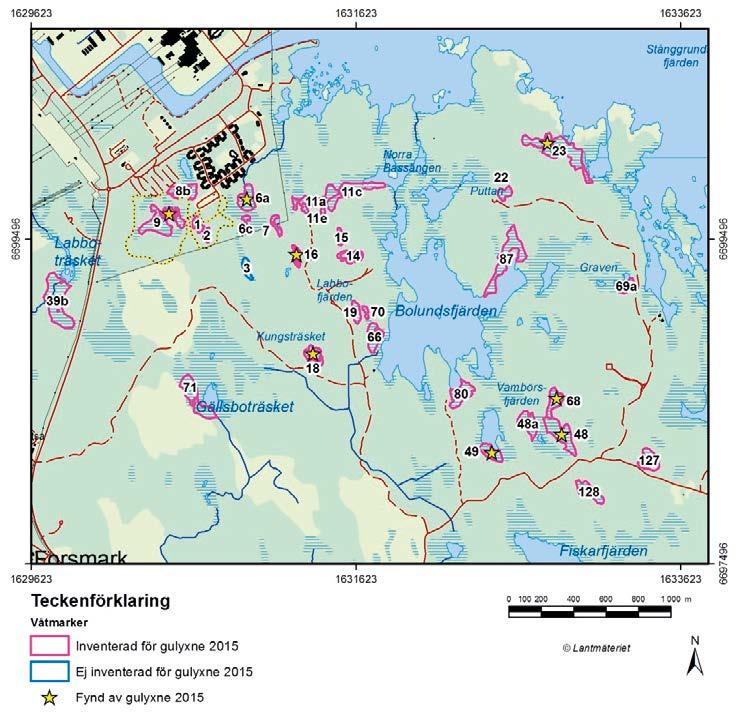 2.1 Inventeringsområde, våtmark 48 Våtmark 48 ligger i södra delen av SKB:s mark och ligger också utanför det prognosticerade påverkans området för grundvattensänkning.
