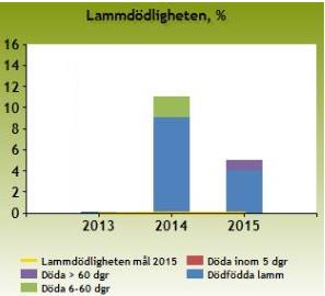 Besättning 3 - Dödfödda lamm och lammdödlighet hos de yngre och de äldre lammen Besättningen bestod av 145 respektive 150 tackor varav hälften var vita korsningstackor och hälften av raserna Dorset