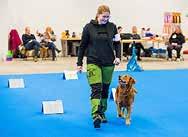 20 Lydnad - SBK Under den här uppvisningen kommer hundar och förare från Svenska Brukshundklubben att visa lydnadsmoment på ett showigt sätt. 12.20-12.