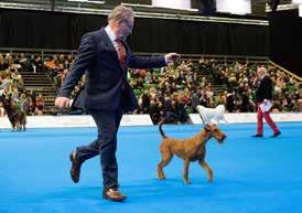 MyDOG - en heldag för barnfamiljen MyDOG är Nordens största hundevenemang.