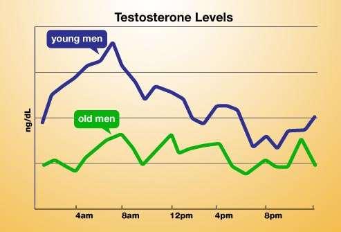 Testosteron under dygnet Rek: fastande morgonvärde Ex: ref