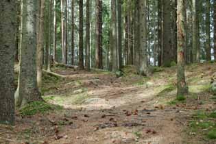 Karaktärsområden 1. Mellan lygnersvider och ingsjöarna Övergripande beskrivning Branta slänter och småkuperade områden omger det öppna odlingslandskapet uppe på den karakteristiska Ubbhultsdrumlinen.