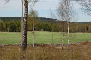 Den kringliggande skogen är tät och relativt ogenomsiktlig, med mindre öppna ytor som vanligtvis utgörs av våtmarker.