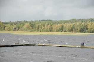 lighet, men också kontakt med det anslutande stora landskapsrummet. Komplexiteten är hög, med många ingående element, rumsligheter och skalor.