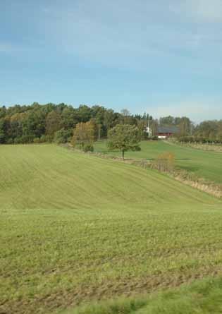 Ursprungligen var dessa begrepp område, stråk, barriär, nod och landmärke.