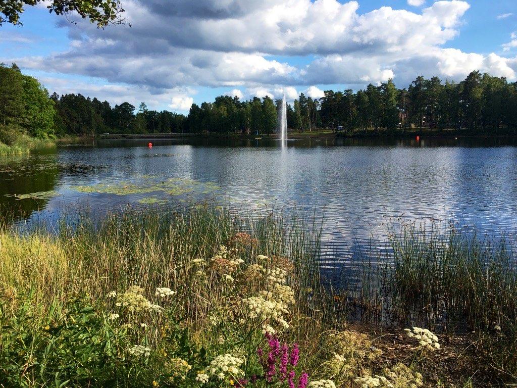 Undersökning av fisksamhället i Linneasjön, Nybro 2017 På uppdrag av: Ekologgruppen i Landskrona Kontakt: Håkan