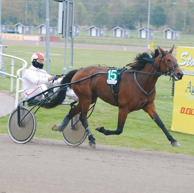 VAGGERYDS TRAVET