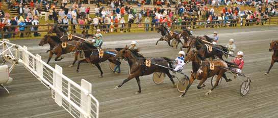 e Oiseau de Feux - : --,a : --,a Tot: -- Timeless Sakra e Yankee Glide Eriksson K Ax / - /, a c x Uppf: Olofsson Johnny & Gunilla Eriksson K Ax / - / u ag c x Äg: Sealtrans AB & Hellstedt Jan