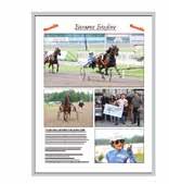 se www.halmstadtravet.