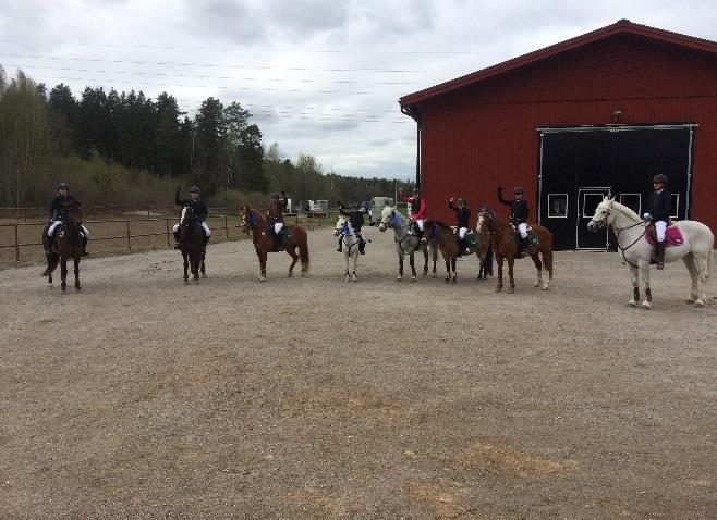 Klubben har under 2017 haft ett tävlingsfritt år.