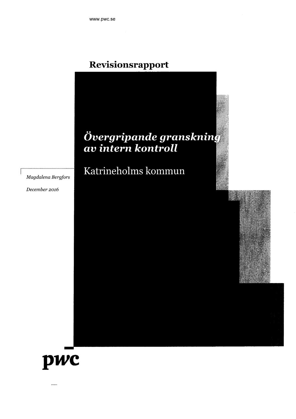 Övergripande gransknin av