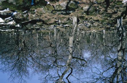 Rapport 5391 Kartering av skyddade områden Kontinuerlig naturtypskartering Denna rapport redovisar resultaten från den kartering av landets nationalparker och naturreservat som genomfördes 22-23.