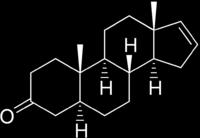 Galtlukt Androstenon Skatol Produktion Cirkulation Metabolism Produktion Cirkulation