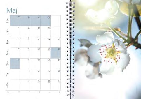 Temakalendrar/Specialkalendrar Ett skönare liv Balans i vardagen En kalender som hjälper