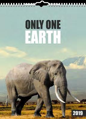 Only one earth Miljökalender med