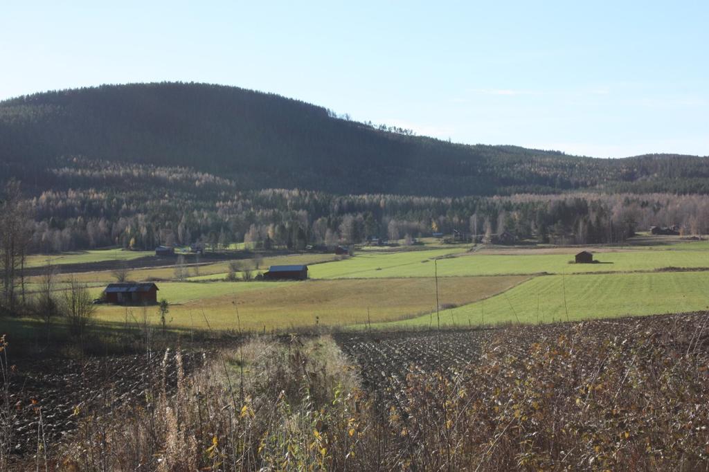 TOPOGRAFI OCH FORNLÄMNINGSMILJÖ. De aktuella områdena ligger söder om sjön Bergviken i en uppodlad dalgång som till stor del utgör riksintresse för kulturmiljö (K410).