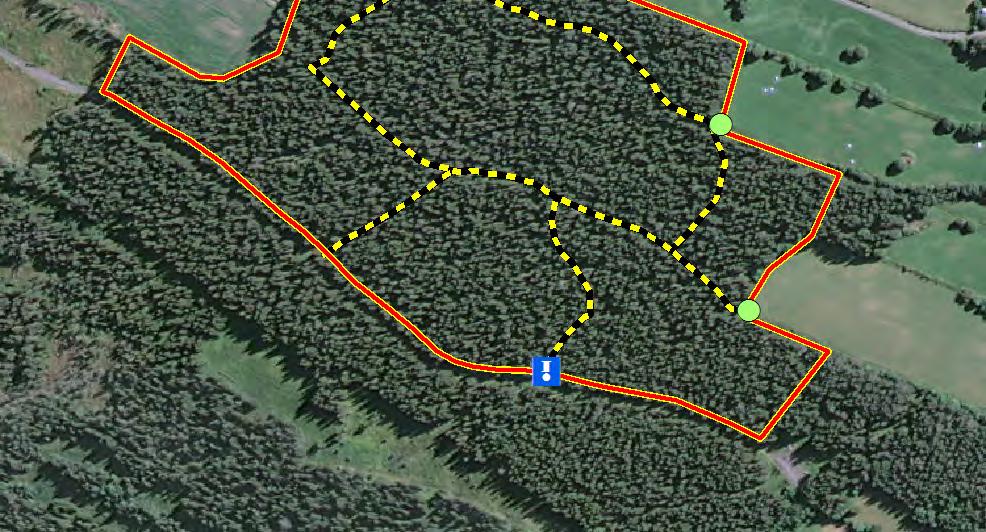 Dnr: 511-6834-11 Bilaga 3a Naturreservatet Bye kalkbarrskog