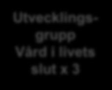 Utvecklings grupp Stroke