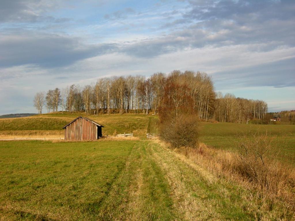 De tolv järnen och de båda lupparna skiljer sig åt fyra-femhundra år i ålder. Det är oerhört svårt, kanske omöjligt, att ta reda på om de lagts ned samtidigt eller med fyrahundra års mellanrum.