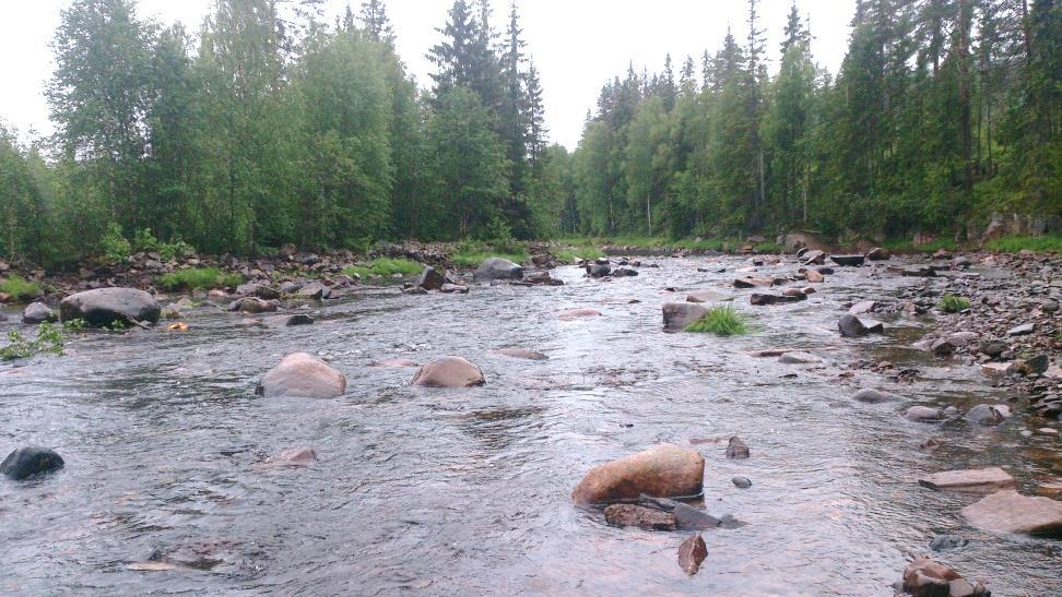 Kunskapsuppbyggnad Med anledning av ovanstående beslutades att några vattendrag i skilda delar av länet skulle inventeras i sin helhet alternativt längs längre sammanhängande sträckor.