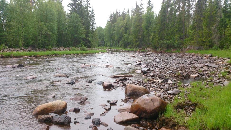 Totalt har 17 vattendrag till en sammanlagd längd av cirka 25 mil inventerats. Det rör sig om alltifrån små bäckar till större åar vilka ingått i omfattande vattenavrinningsområden.