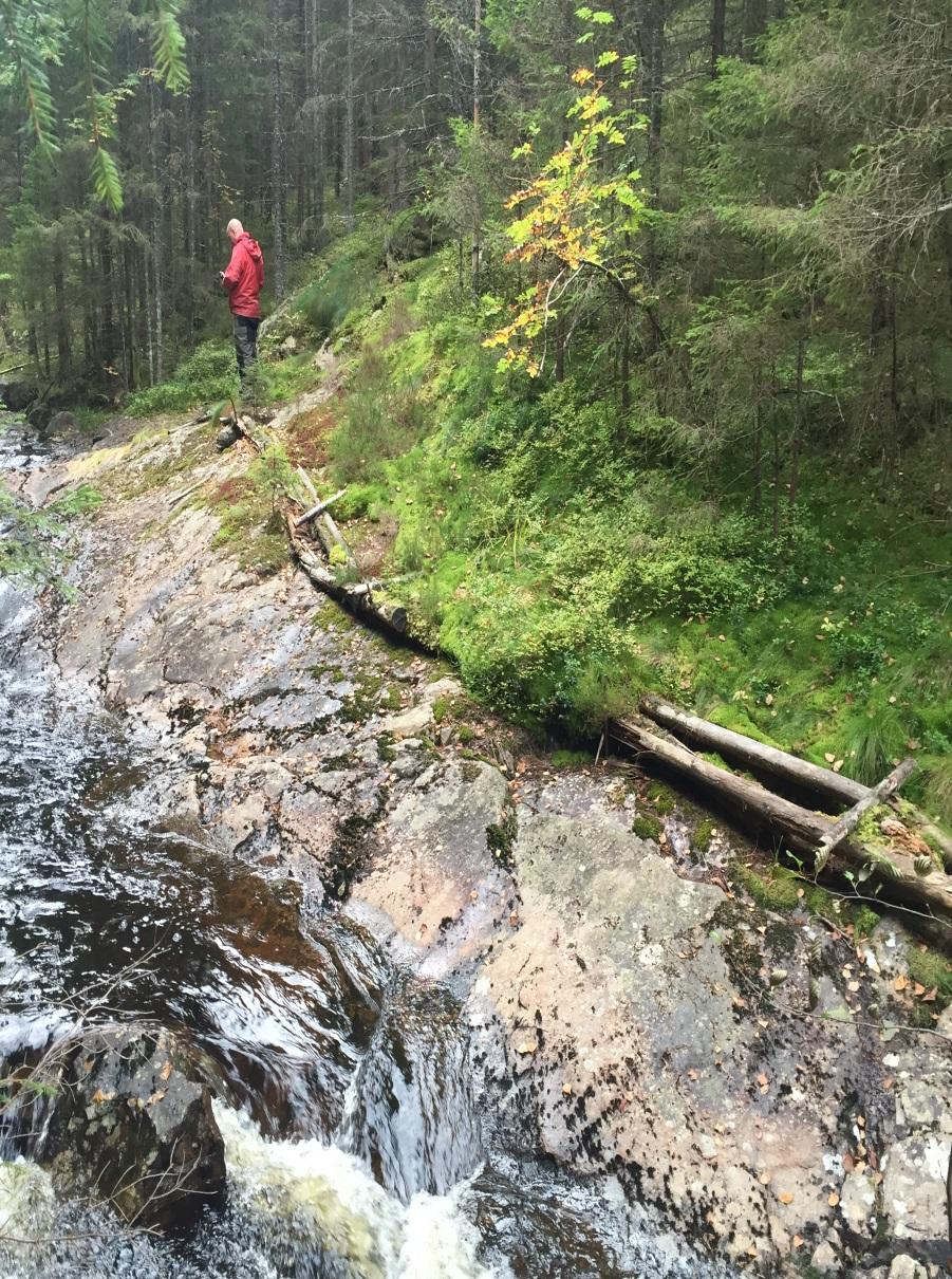 flottare, ett sätt att ta sig fram längs