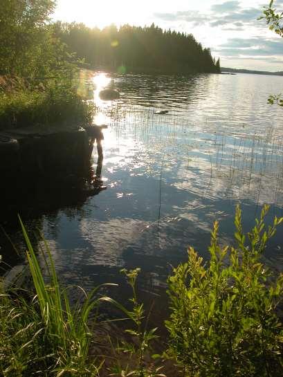 Antal dagar efter nyår Islossning Sjön Bergviken Citizen science 140