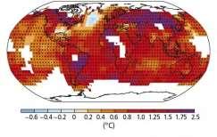 Den röda linjen visar den förväntade genom- snittliga globala havsnivåhöjningen fram till år 2100 enligt scenariot PCP 8.5.