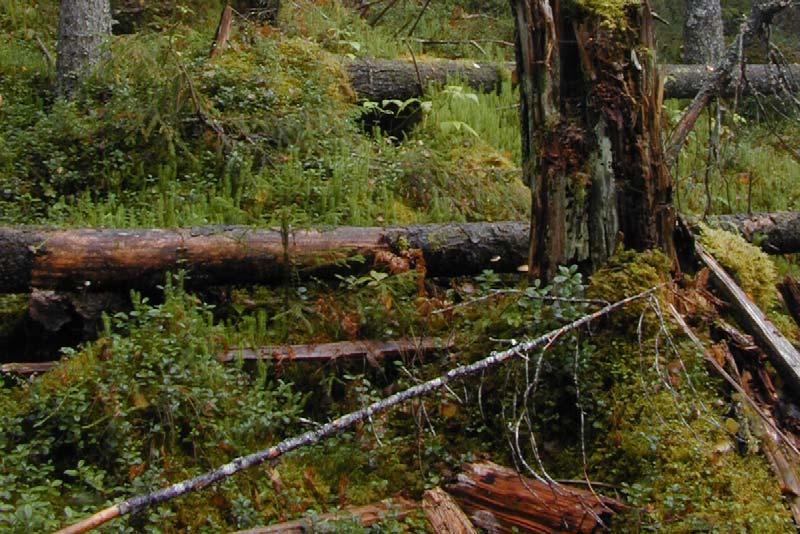 Omgivande marker består nästan uteslutande av hyggen och yngre skogar och är sedan lång tid tillbaka präglade av hårt drivet skogsbruk.