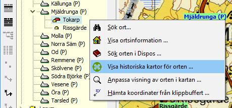 Du skall nu se vad som finns i Lantmäteriets digitala arkiv med historiska kartor och lantmäteriakter. Om du inte är uppkopplad mot internet, får du göra det nu.