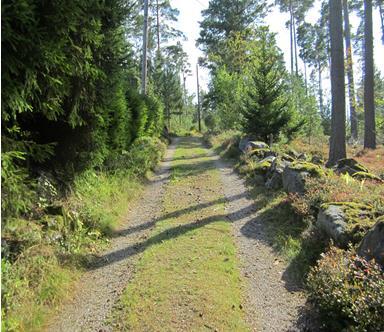 I söder gränsar planområdet till den värdefulla fornlämningsmiljön på Brantåsen med en stor husgrund, boplatslämningar och ett par synliga gravar (Vallby 39:1-4) Fornlämningar inom planområdet