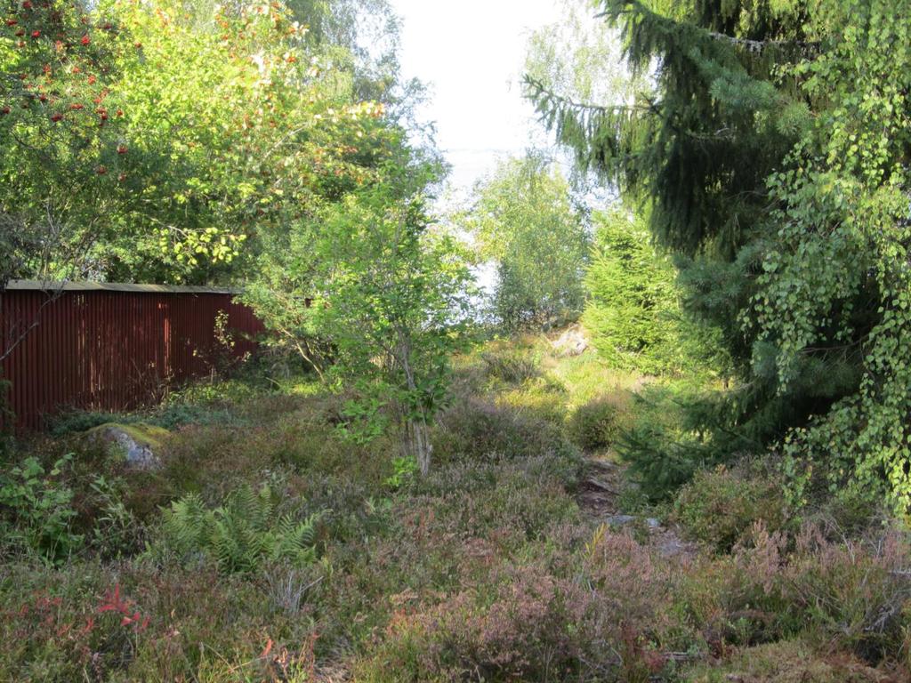 Eskilstuna kommun 22 (60) Bild 11 Naturstråk mellan två bostadsfastigheter med gångstig ner mot vattnet.