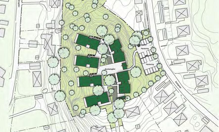 Detaljplan för bostäder vid Storökan 5 m.fl. Antagandehandling Datum Trosa kommun 2017-11-10 det. Ekarna som sträcker sig in över Storökan 5 ska fortsätta att växa över fastighetsgräns.